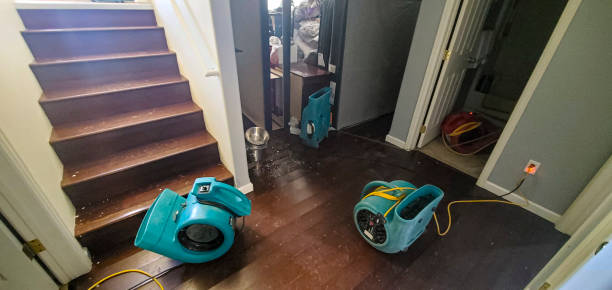 Best Water damage restoration specialists  in Valley Stream, NY