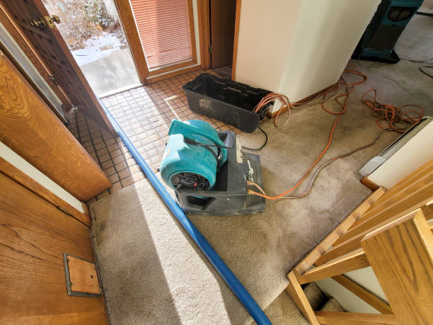 Best Flood damage cleanup  in Valley Stream, NY