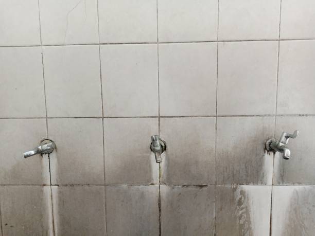 Best Fire Damage Restoration  in Valley Stream, NY