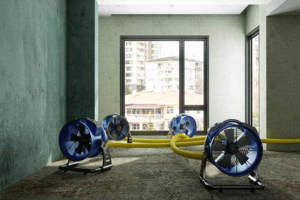 Best Local water damage restoration  in Valley Stream, NY