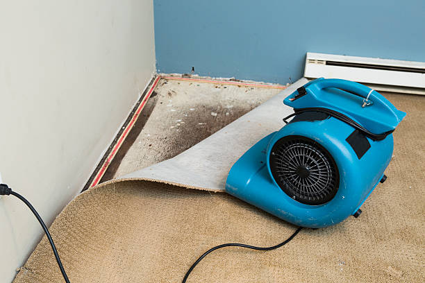 Best Water damage restoration near me  in Valley Stream, NY